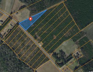 Lot B1 Black Creek Rd., Nichols, SC 29581