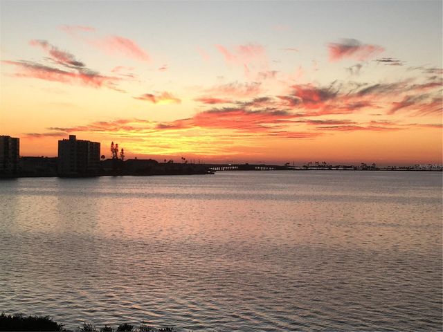 2700 BAYSHORE BOULEVARD 11-209, Dunedin, FL 34698