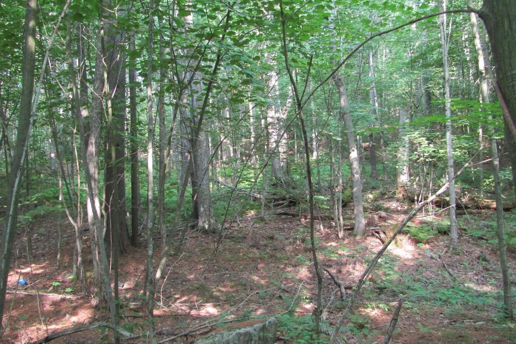 00 Haverhill Lane, Haverhill, NH 03785