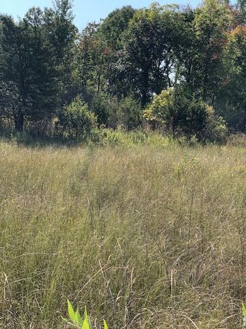 2 Pike Lane, Union, MI 49130