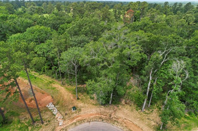 24915 Two Rivers Road, Montgomery, TX 77316