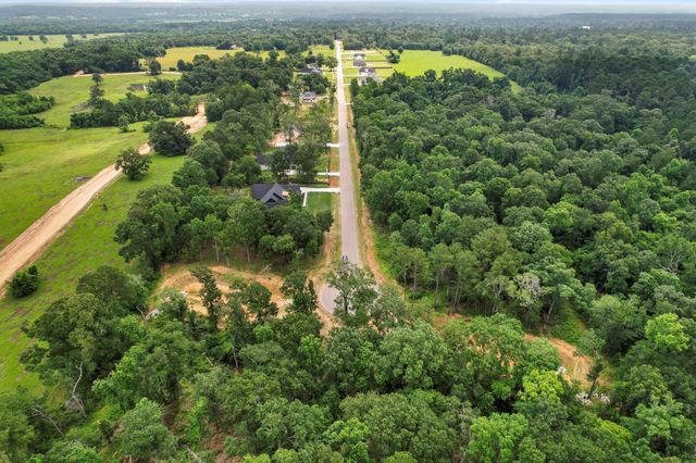 24915 Two Rivers Road, Montgomery, TX 77316