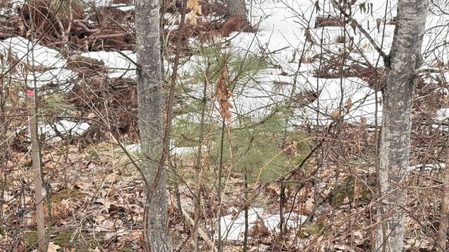 Address unavailable.