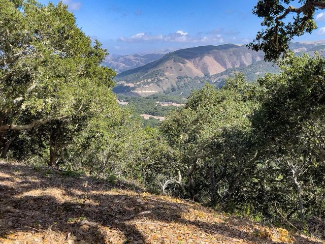 70 Chamisal, Carmel Valley, CA 93923