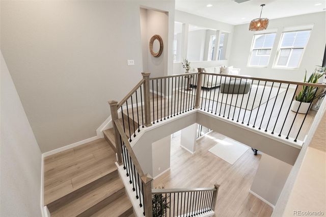 8827 Moonshimmer Trail, Littleton, CO 80125