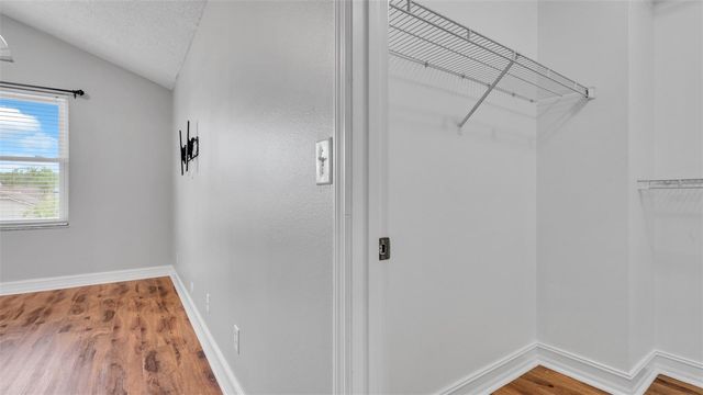 11804 BRANCH MOORING DRIVE, Tampa, FL 33635