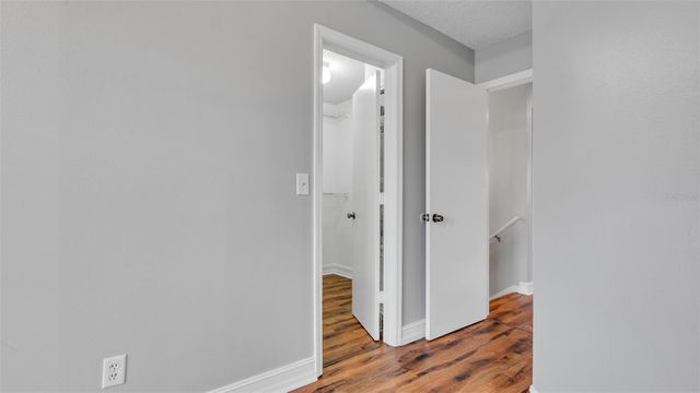 11804 BRANCH MOORING DRIVE, Tampa, FL 33635