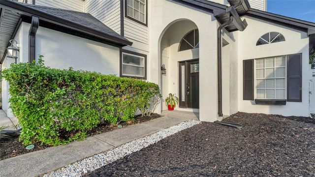 11804 BRANCH MOORING DRIVE, Tampa, FL 33635