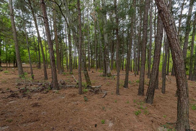 6543 CR 492, Tyler, TX 75706