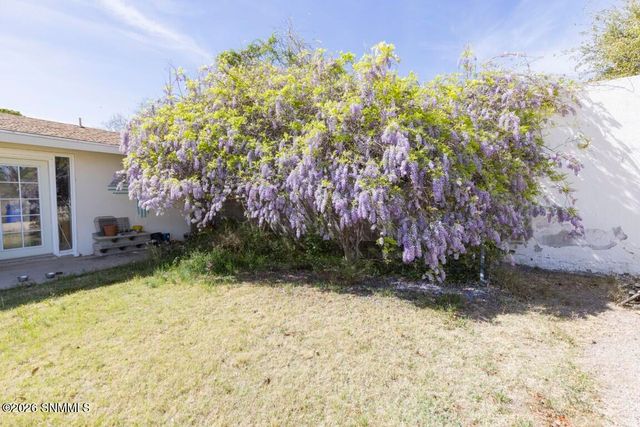 950 Hess Terrace, Las Cruces, NM 88005