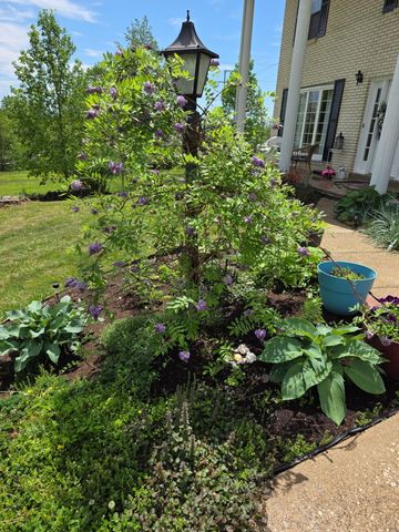 144 Canary Circle, Corbin, KY 40701