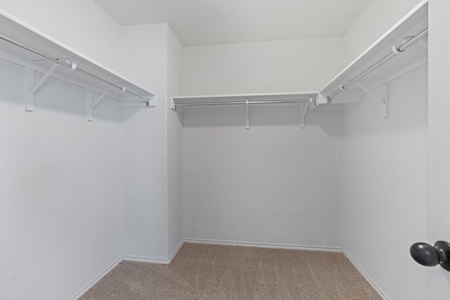 804 Water Hyacinth LOOP, Leander, TX 78641