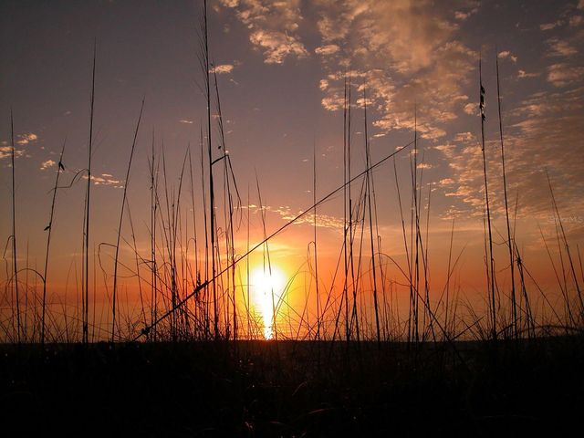 5055 GULF OF MEXICO DRIVE 412, Longboat Key, FL 34228