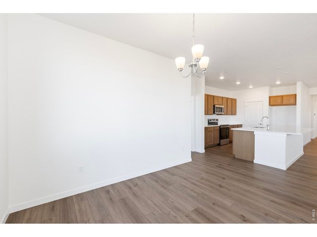 1454 Boyle St, Windsor, CO 80550