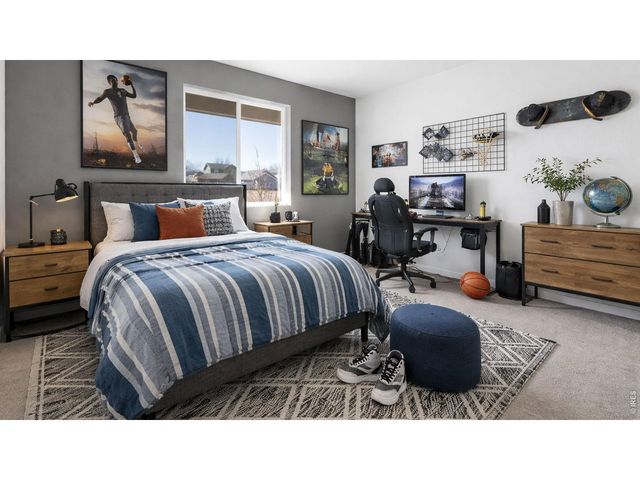 1454 Boyle St, Windsor, CO 80550