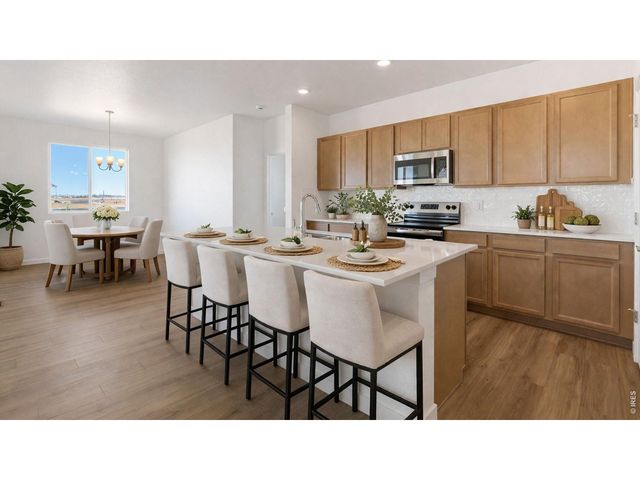 1454 Boyle St, Windsor, CO 80550