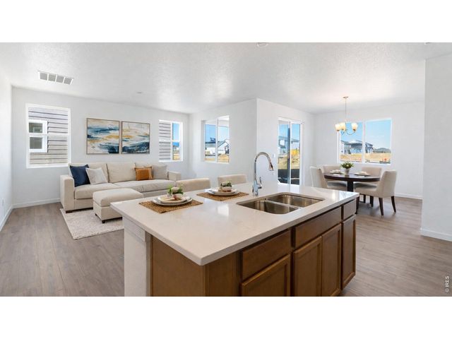 1454 Boyle St, Windsor, CO 80550