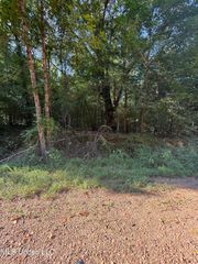 236 Hideaway Hills Rd, Coldwater, MS 38618
