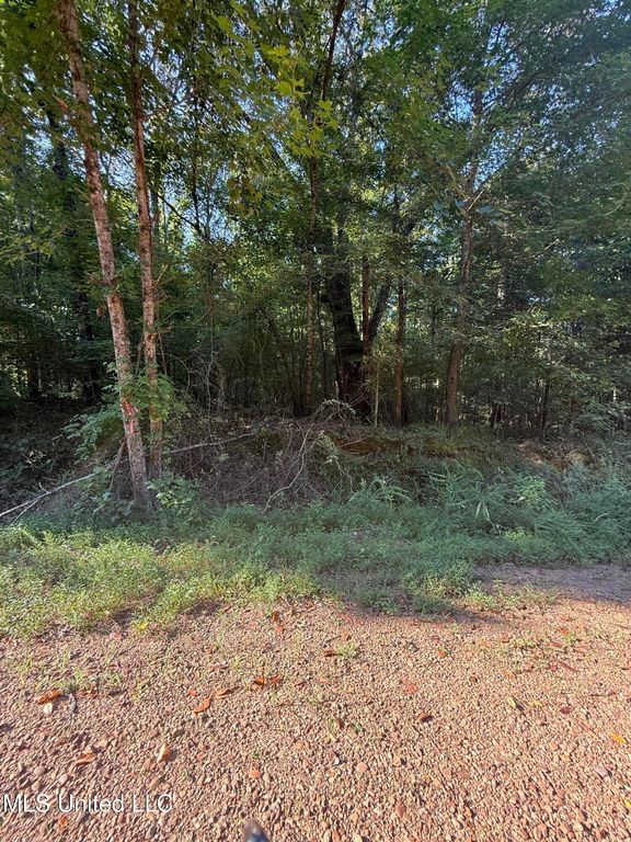 236 Hideaway Hills Rd, Coldwater, MS 38618