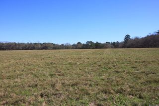 TBD Lot 7 Cook Rd, Slaughter, LA 70777