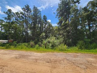 01 Hollybrook Drive, Plantersville, TX 77363