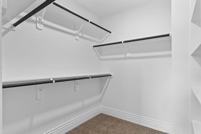 13035 Centaurus Court, Willis, TX 77318