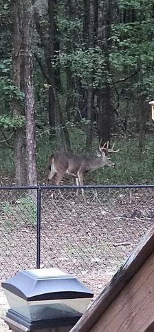 3450 Mckee Road, Upatoi, GA 31829