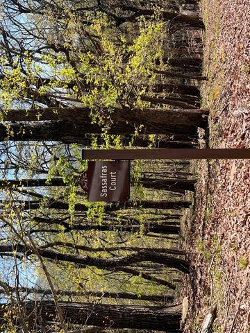 0 Sassafras Court, Jasper, GA 30143