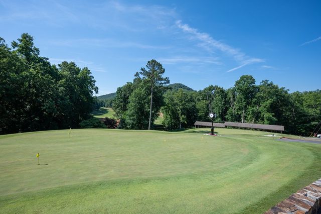 0 Sassafras Court, Jasper, GA 30143