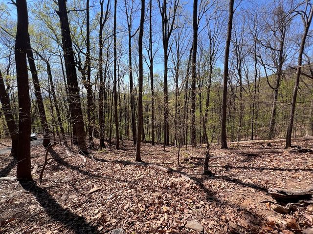 0 Sassafras Court, Jasper, GA 30143