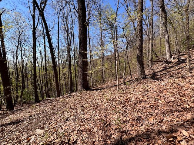 0 Sassafras Court, Jasper, GA 30143
