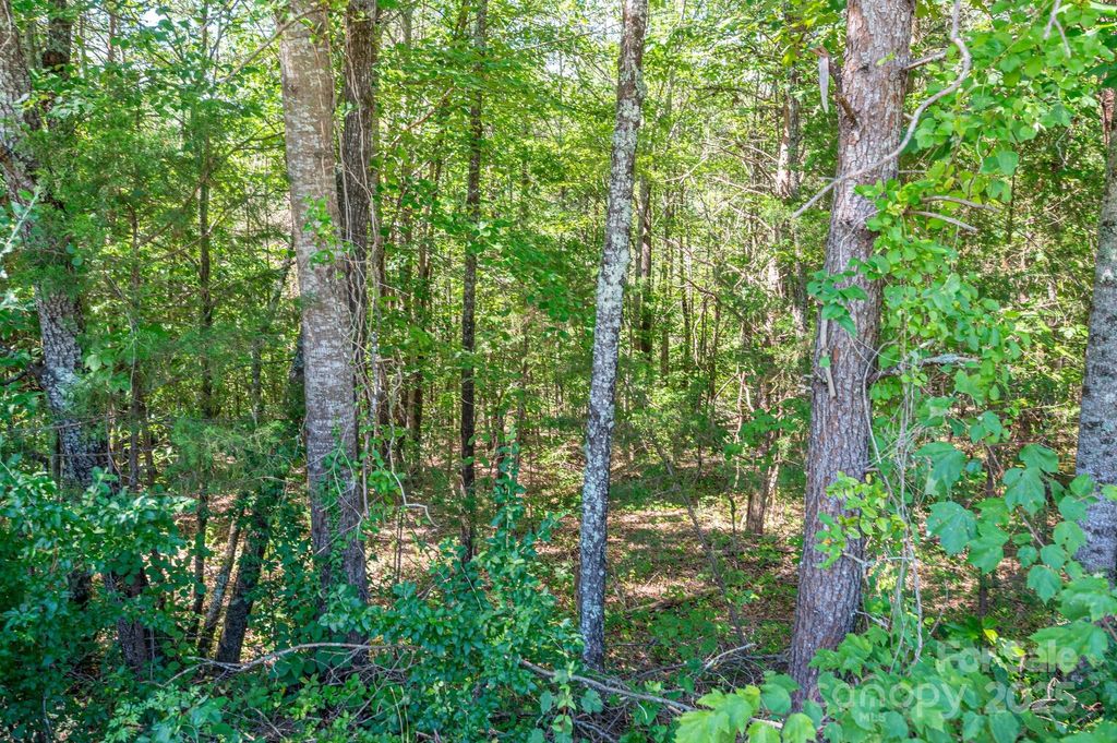 Lot 7 Meadow Crossing Drive, Rutherfordton, NC 28139