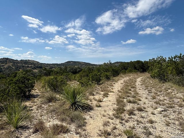 22073 SCENIC LOOP RD, San Antonio, TX 78255