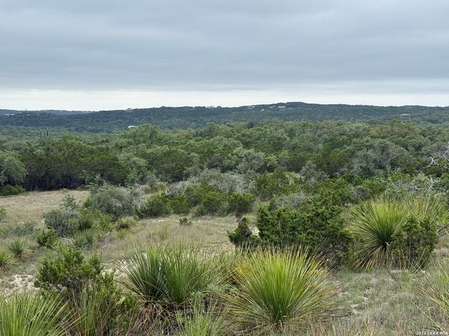 22073 SCENIC LOOP RD, San Antonio, TX 78255