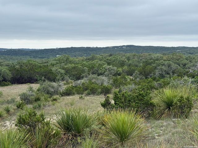 22073 SCENIC LOOP RD, San Antonio, TX 78255