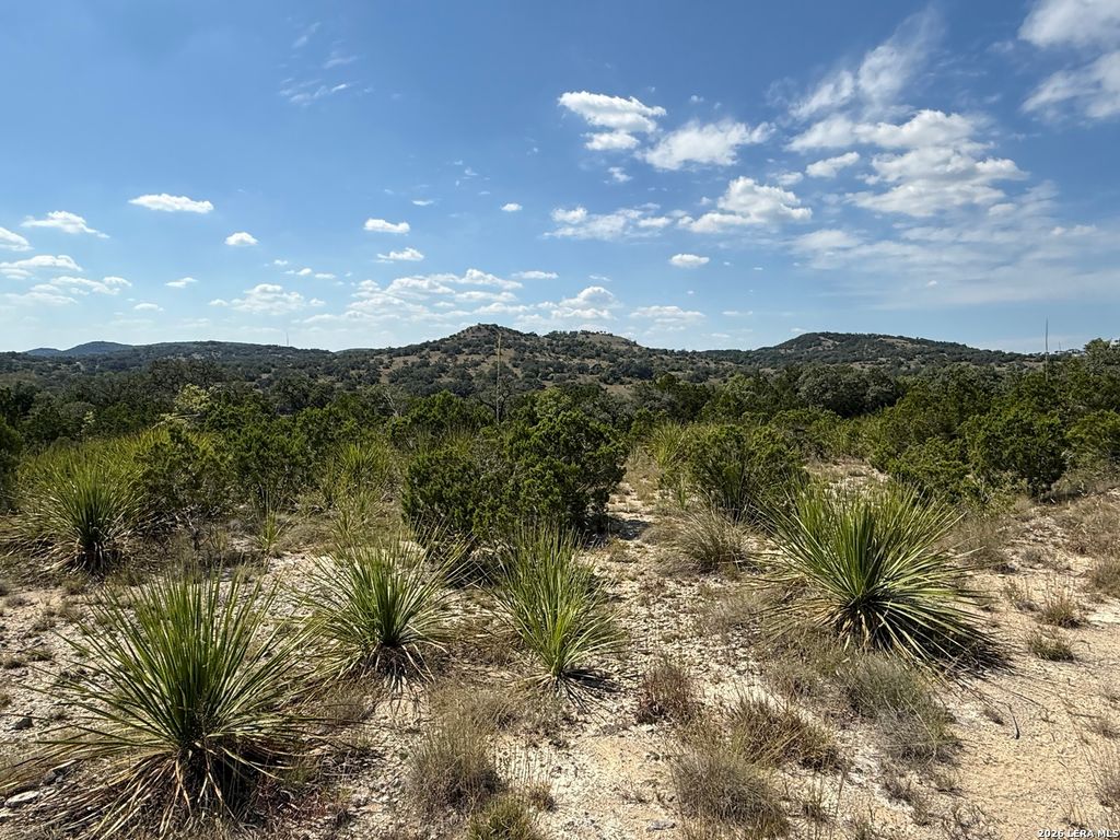 22073 SCENIC LOOP RD, San Antonio, TX 78255
