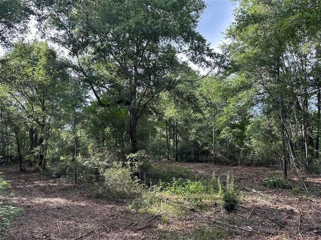 00 Newman Road, Mobile, AL 36695