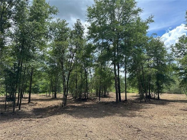 00 Newman Road, Mobile, AL 36695