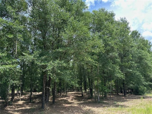 00 Newman Road, Mobile, AL 36695