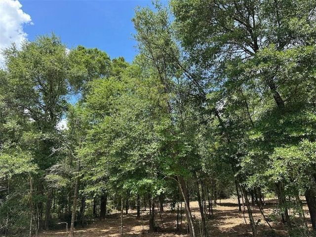 00 Newman Road, Mobile, AL 36695