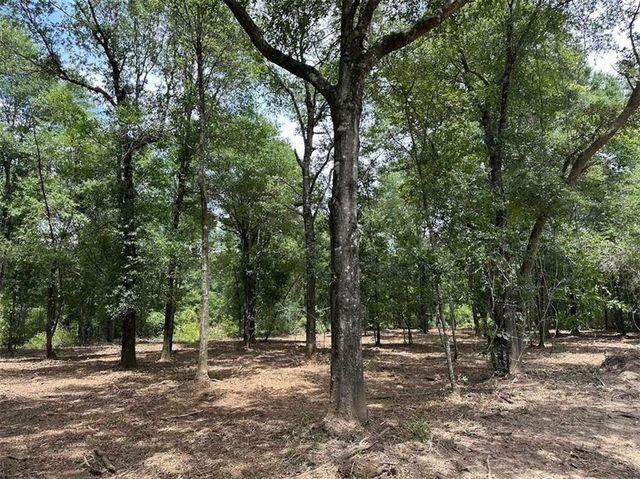 00 Newman Road, Mobile, AL 36695