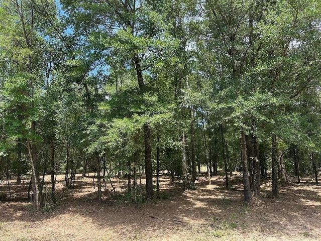 00 Newman Road, Mobile, AL 36695