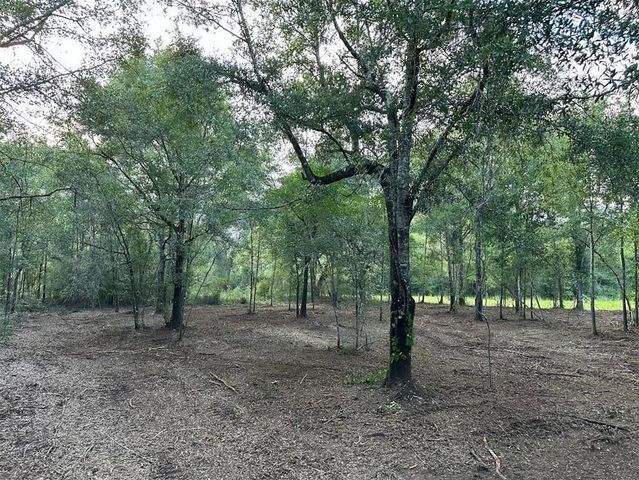 00 Newman Road, Mobile, AL 36695