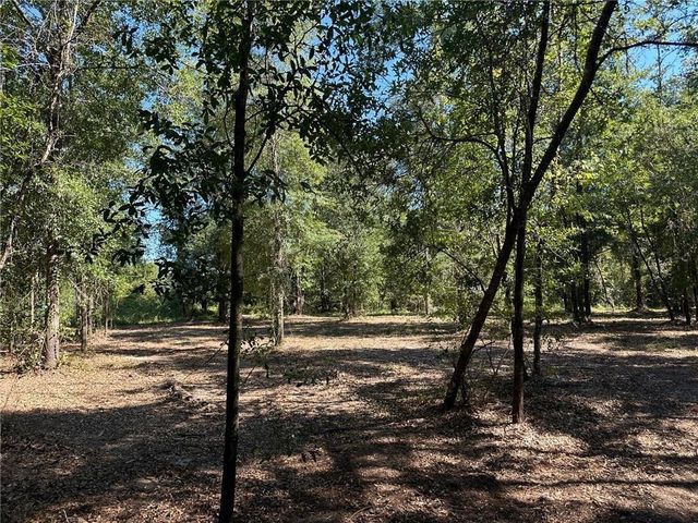 00 Newman Road, Mobile, AL 36695