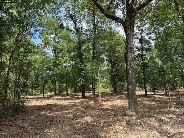 00 Newman Road, Mobile, AL 36695