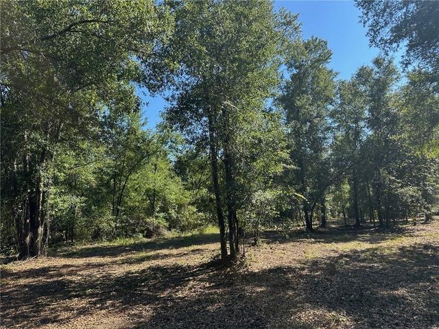 00 Newman Road, Mobile, AL 36695