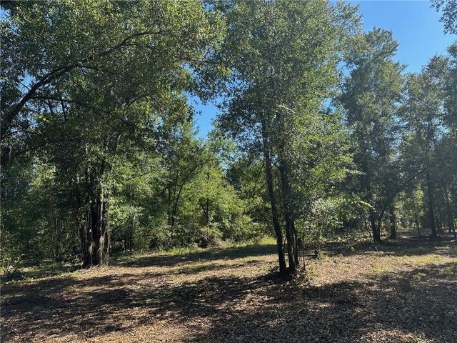 00 Newman Road, Mobile, AL 36695