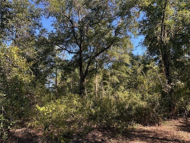 00 Newman Road, Mobile, AL 36695
