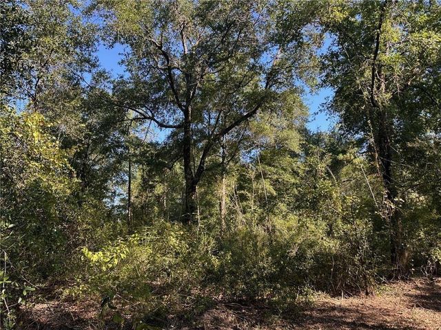 00 Newman Road, Mobile, AL 36695