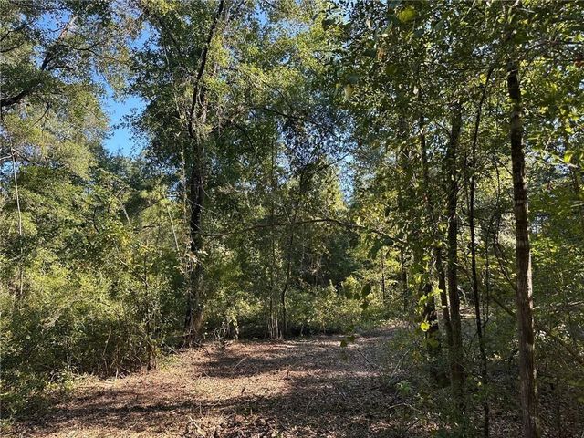 00 Newman Road, Mobile, AL 36695